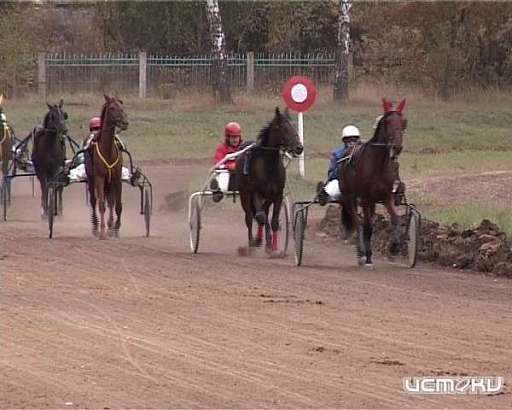 Орловские наездники на этих выходных откроют соревновательный сезон