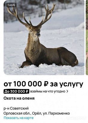 На Орловщине желающим предлагают поохотиться на оленя