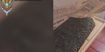 У орловчанина обнаружили дома более 16 килограммов "травки"