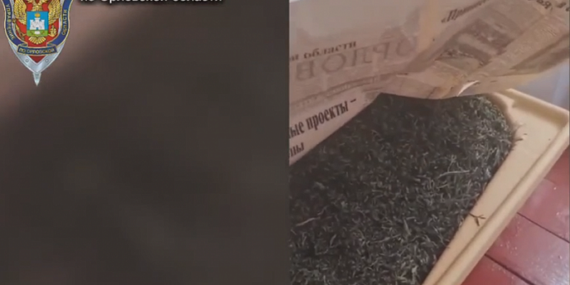 У орловчанина обнаружили дома более 16 килограммов "травки"