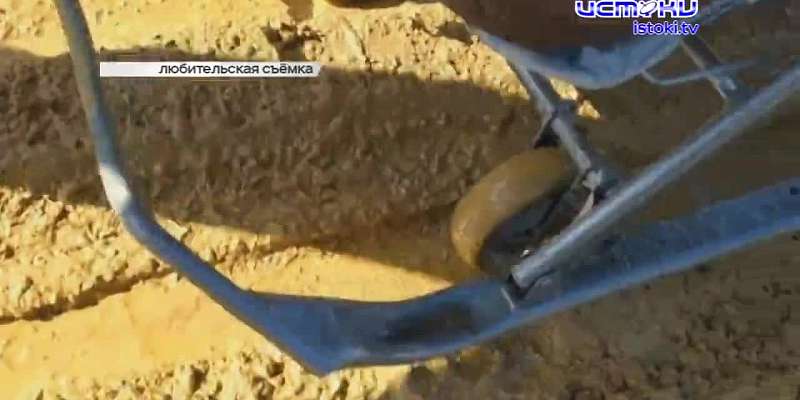 Жители Урицкого района показали дороги, по которым они вынуждены ежедневно ходить с детьми; в Орле вандалы покалечили молодой клен, на них написали уж...