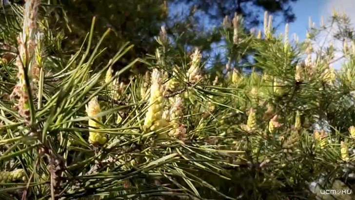 Народный корреспондент показал красоту весеннего Орла