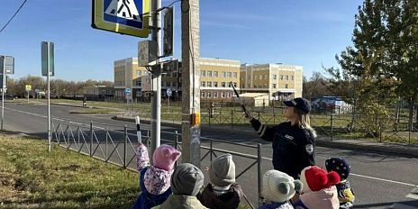 В Орле дошкольники отметили День рождения пешеходного перехода — вместе с полицейскими и ЮПИДовцами они прошли учебную экскурсию