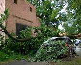 Новые проблемы на старом месте! На Герценском мосту опять ведутся работы