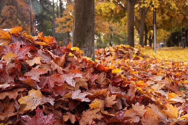 На Орловщине ещё похолодает и ожидается снег