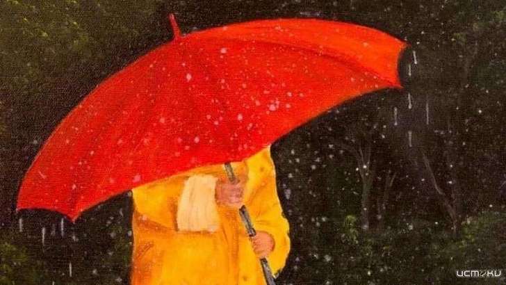 Пасмурно и дождливо будет в субботу в Орле