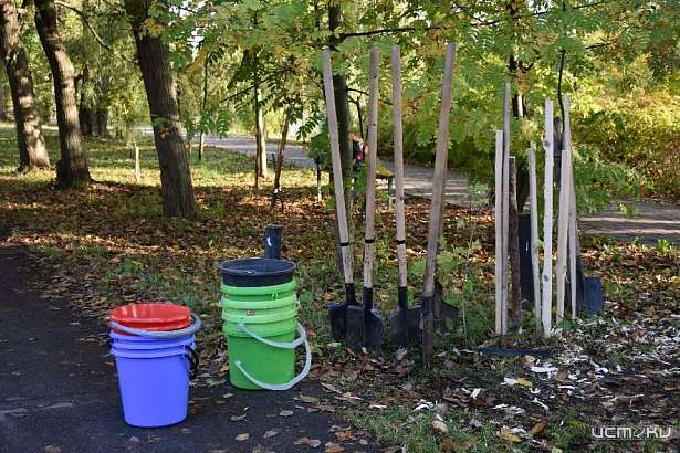 В Орле аллея в честь Клавдии Наумовой пополнилась новыми насаждениями