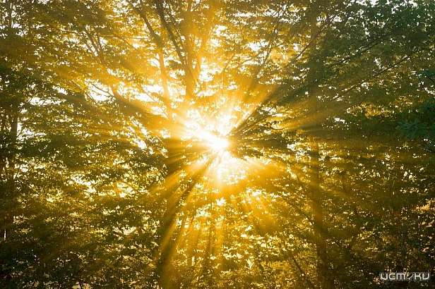 В Орловской области 10 мая будет солнечным