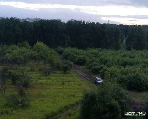 В Болховском микрорайоне на пробежке убили женщину