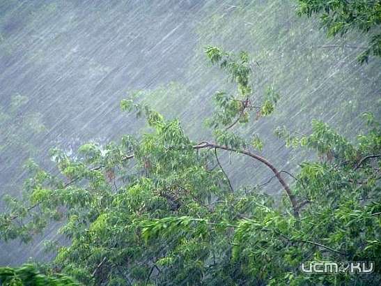В Орловской области ожидаются ветреная погода и дожди