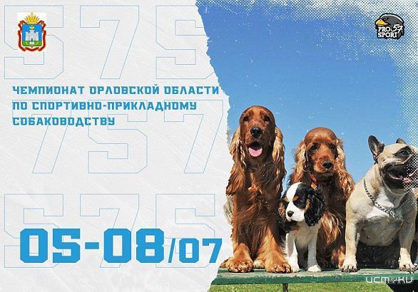 Соревнования для собак проходят в эти дни на Орловщине