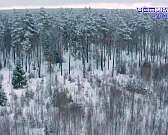 Национальный парк "Орловское полесье" в этом году отмечает юбилей-30 лет Национальный парк "Орловское полесье" в этом году отмечает юбилей-30 лет