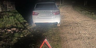 В Орловской области «Лада» задним ходом сбила пенсионерку В Орловской области «Лада» задним ходом сбила пенсионерку