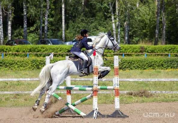 На Орловском ипподроме прошёл большой беговой день