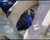 Под Орлом развернули операцию по спасению лося: фото и видео с места ЧП