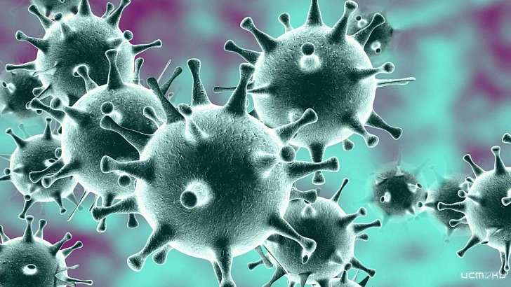 На Орловщине за сутки выявлено 110 новых случаев заражения COVID-19