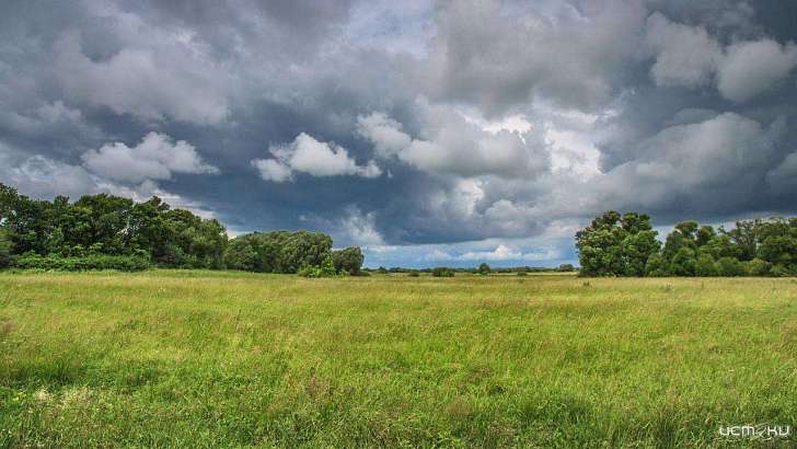 Суббота в Орле будет пасмурной