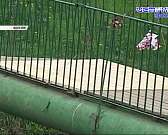 Ко Дню города отремонтируют еще один мост, а экс-оператор «Истоков» стал священником. Новости за 90 секунд Ко Дню города отремонтируют еще один мост, а экс-оператор «Истоков» стал священником. Новости за 90 секунд