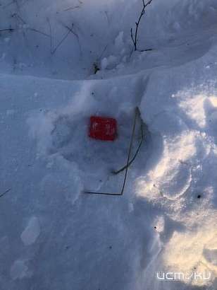 В Орле 20-летний парень проведёт в колонии от 10 до 20 лет за покупку наркотика