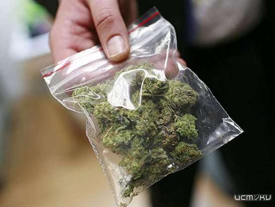 Должанские полицейские нашли травку у местного жителя