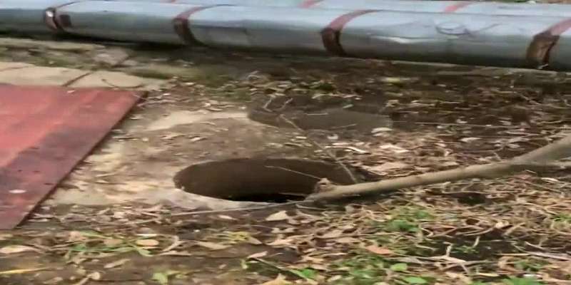 Под Орлом женщина-водитель съехала в кювет и врезалась в дерево