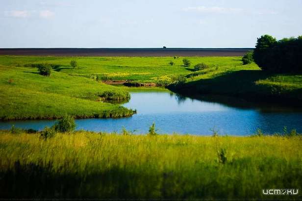 Талантливые орловчане могут стать участниками областного литературного конкурса 