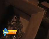 Вывели на чистую воду: у амчанина нашли почти 800 литров паленого алкоголя