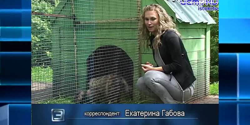 Хорошо забытое старое 27.05.2024