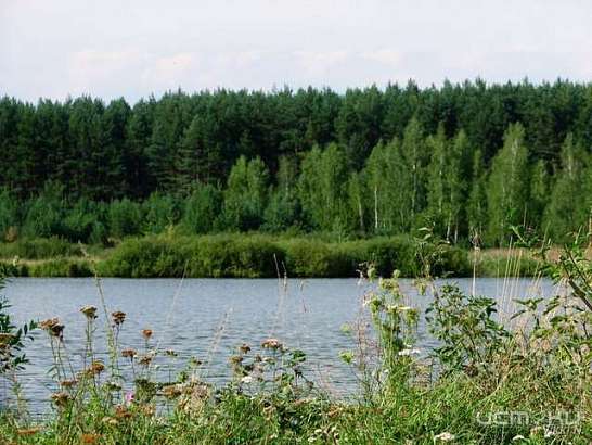 Рейтинг Орловской области