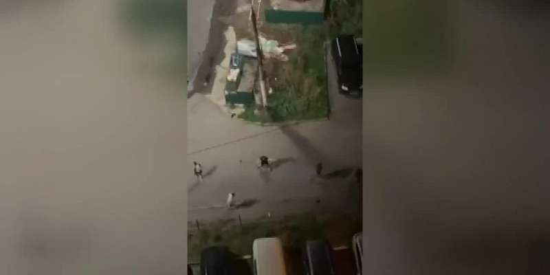 Видео: 20 человек с палками устроили массовую драку в Орле