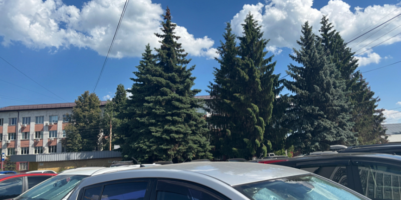 В Орловской области сохраняется жара
