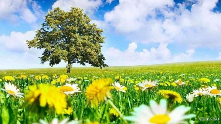 Воскресенье в Орле будет довольно жарким