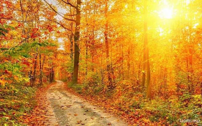 В ближайшее время тепла станет гораздо меньше - орловские синоптики