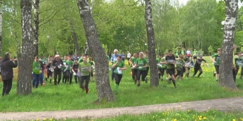 Шахматы в лесу.