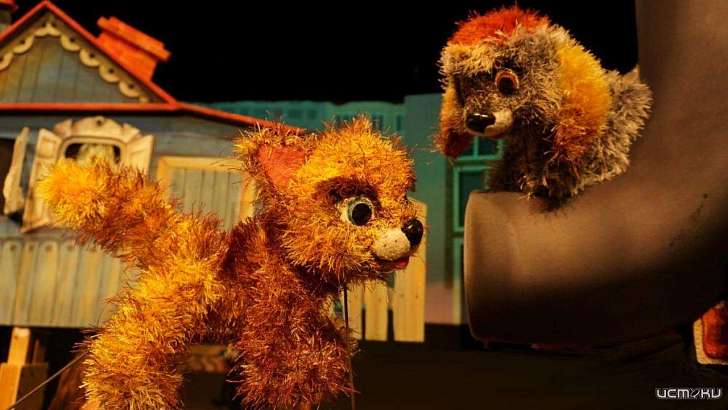 Юных орловчан познакомят с котёнком по имени Гав