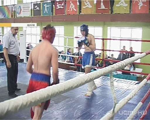 Орёл примет сильнейших кикбоксеров страны 