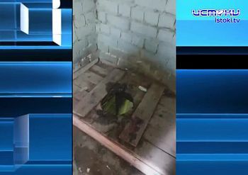 Аллеи здесь ухожены, а вот отхожее место-нет Аллеи здесь ухожены, а вот отхожее место-нет