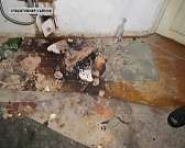 Стали известны подробности жестокого убийства в Ливнах