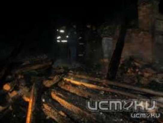 В Орловской области при пожаре в собственном доме погибли мать и сын