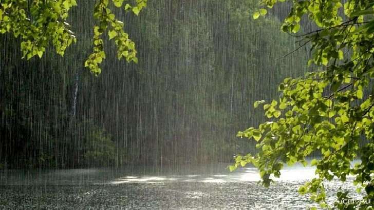 Небольшой дождь ждет орловчан в начале короткой рабочей недели