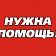 Орловчан просят о помощи с домашними животными жителей Курской области