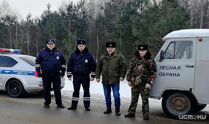 В Орловской области охотников за елками будут наказывать