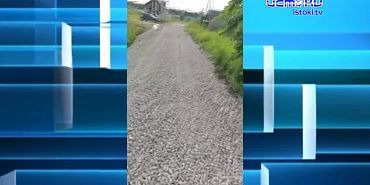 Жители поселка Новообразцово строят себе дорогу сами!
