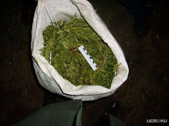 Орловчанина будут судить за мешок с марихуаной