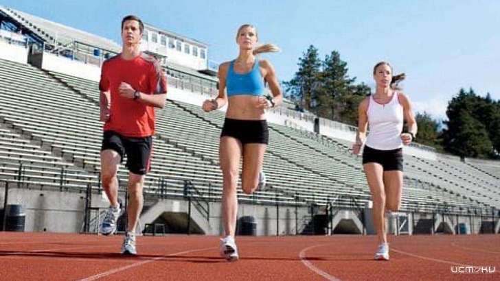 Побегут все: орловчане присоединятся к «Кроссу-наций — 2020»