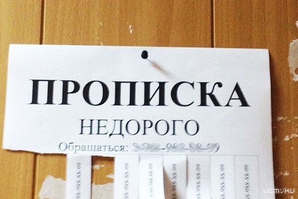 Орловчанка незаконно прописывала иностранцев и заработала уголовное дело 