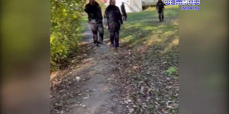 В Орле агрессивный пёс загрыз сородичей