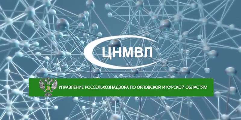 как правильно выбрать красную икру