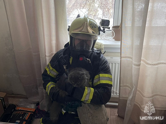 За прошедшие сутки во Мценске пожарные спасли 8 человек и кота 