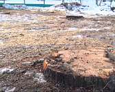 В Орловской митрополии — новый глава, а в Орле рушится дом, где находится полиция. Новости за 90 секунд